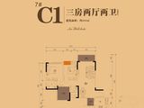 大足伸科中央新天地_3室2厅2卫 建面101平米